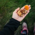 Los 10 mejores snacks para corredores